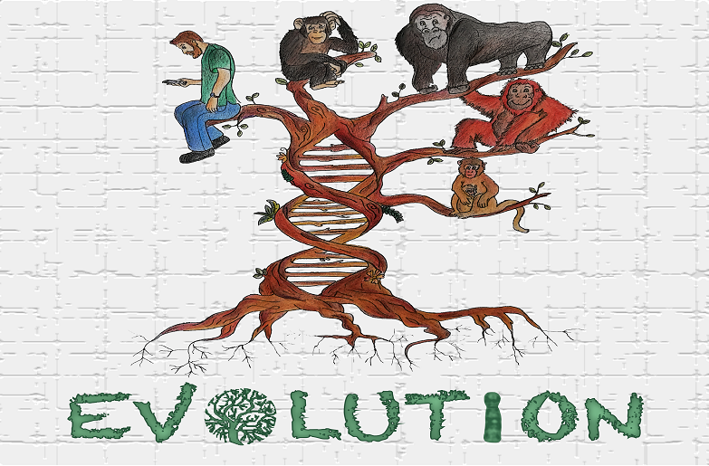 Al momento stai visualizzando Varianti di Inversione nei Genomi di Uomo e Primati
