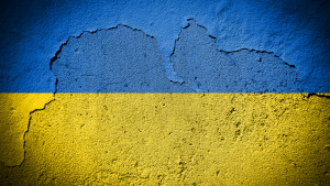 Scopri di più sull'articolo Le Fondazioni e Le Ong insieme per la Popolazione Ucraina