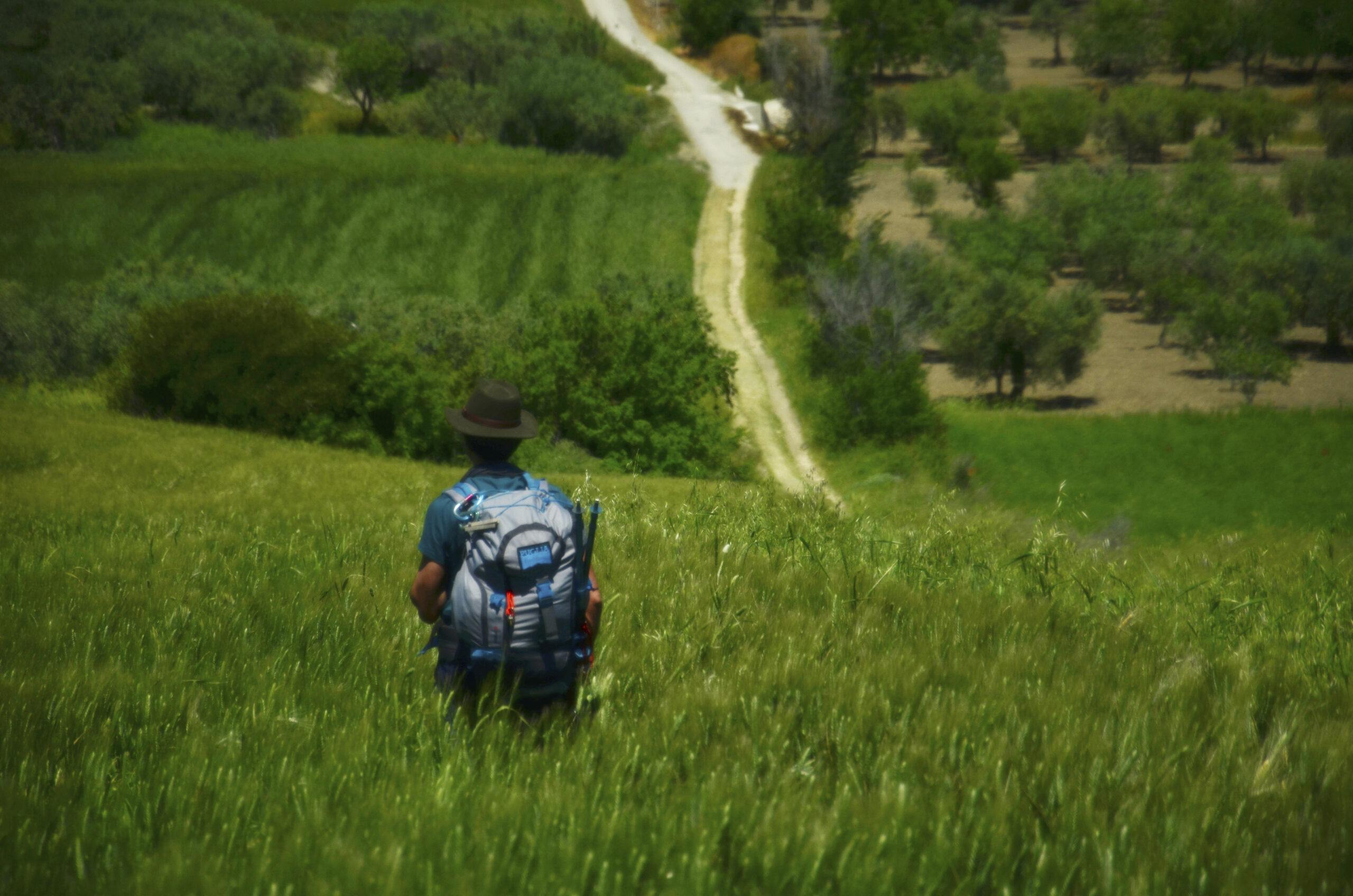 9 Tratturo Via Francigena In vista di Lucera (Fg)